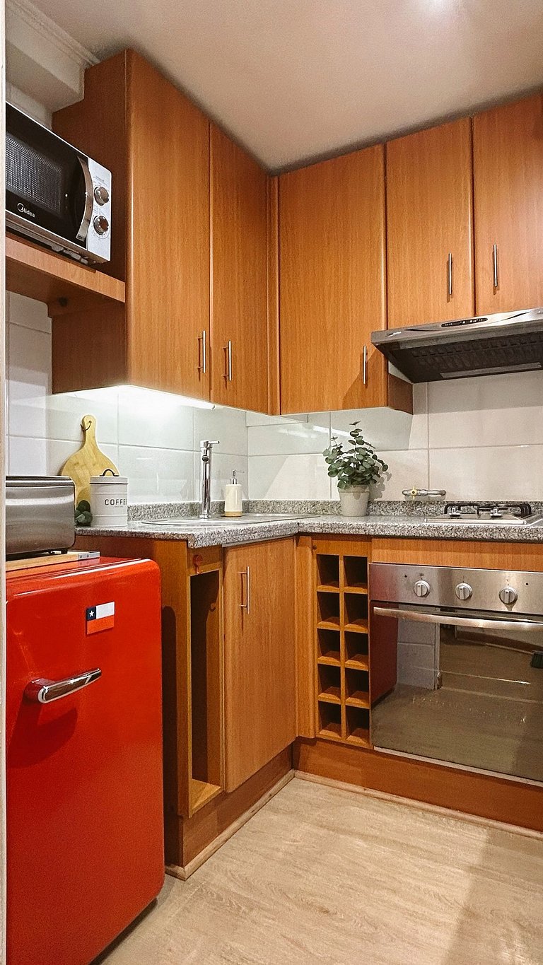 Apt Santiago, San Cristóbal and Andes view | ChileWithYou