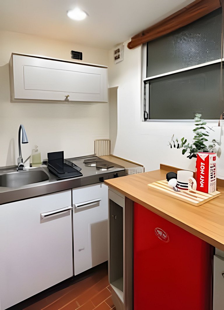 Studio above Fine Arts Museum, metro 3 min | ChileWithYou